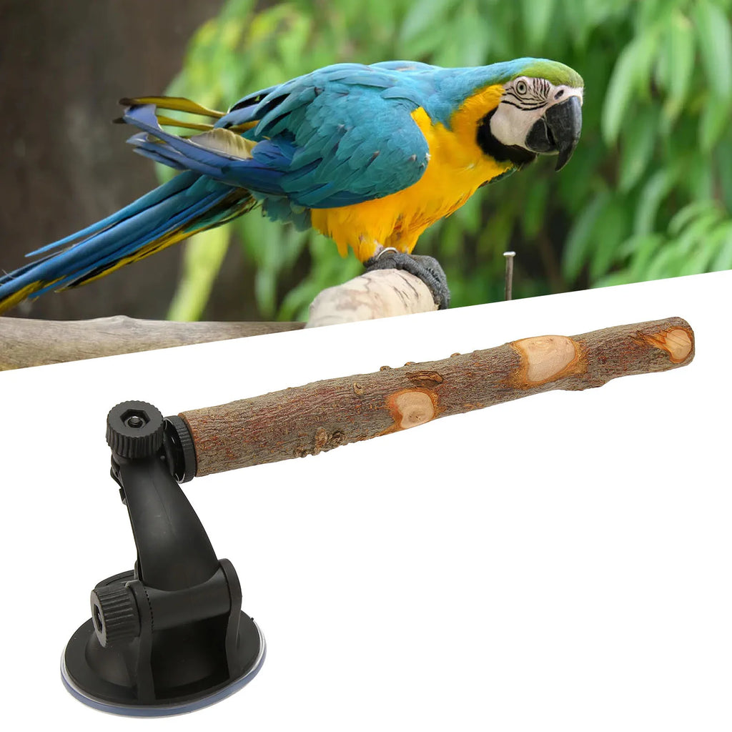 Parrot Suction Cup Window Perch & Bird Bath – Wooden Stand Bird Perch Stand Qme