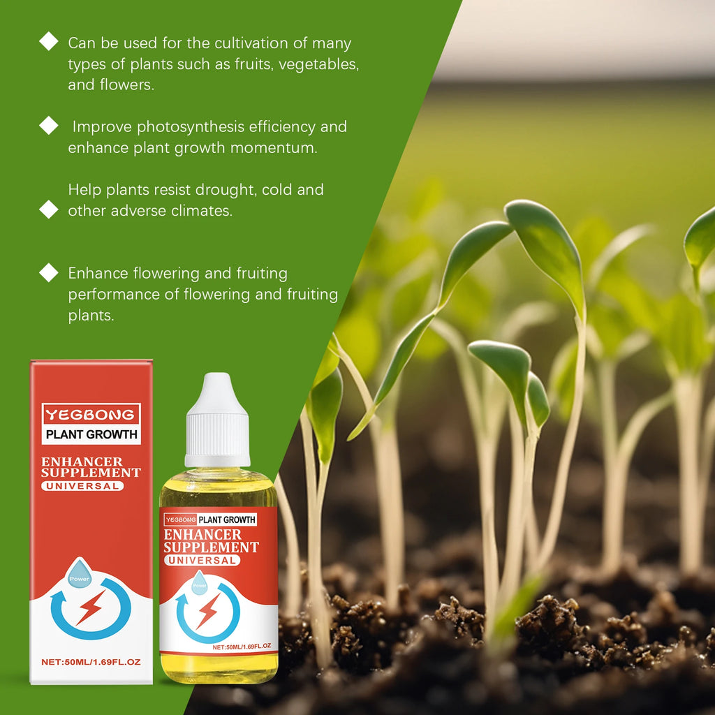 50ml Organic Liquid Plant Nutrient – Root & Growth Booster Liquid Plant Fertilizer Qst