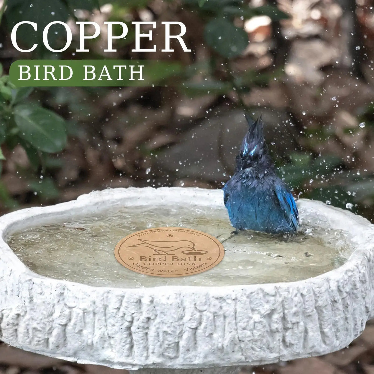 Copper Bird Bath Disk – Water Fountain Cleaning Purifier Bird Bath Accessory Qme