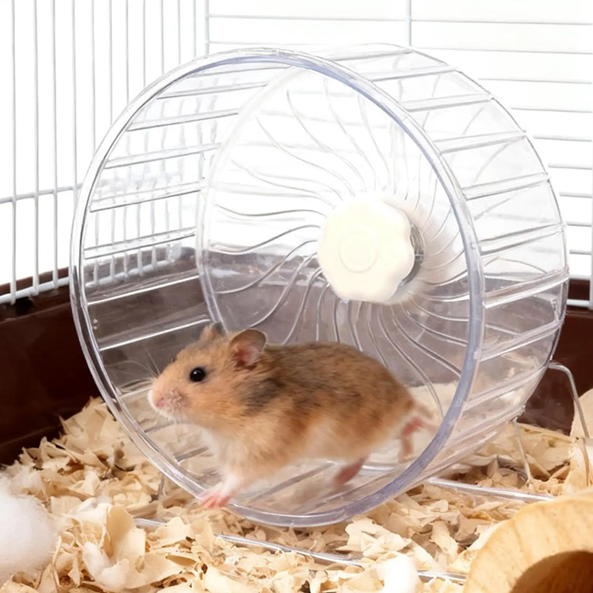 Silent Hamster Wheel – Double-Bearing Quiet Spinner for Small Pets Pet Exercise Wheel Qme