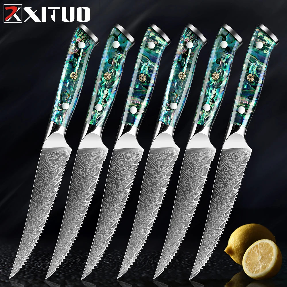 XITUO 67-Layer Damascus Steel Steak Knives – Abalone Handle Damascus Steak Knife Set Qst 6 PCS Steak knife