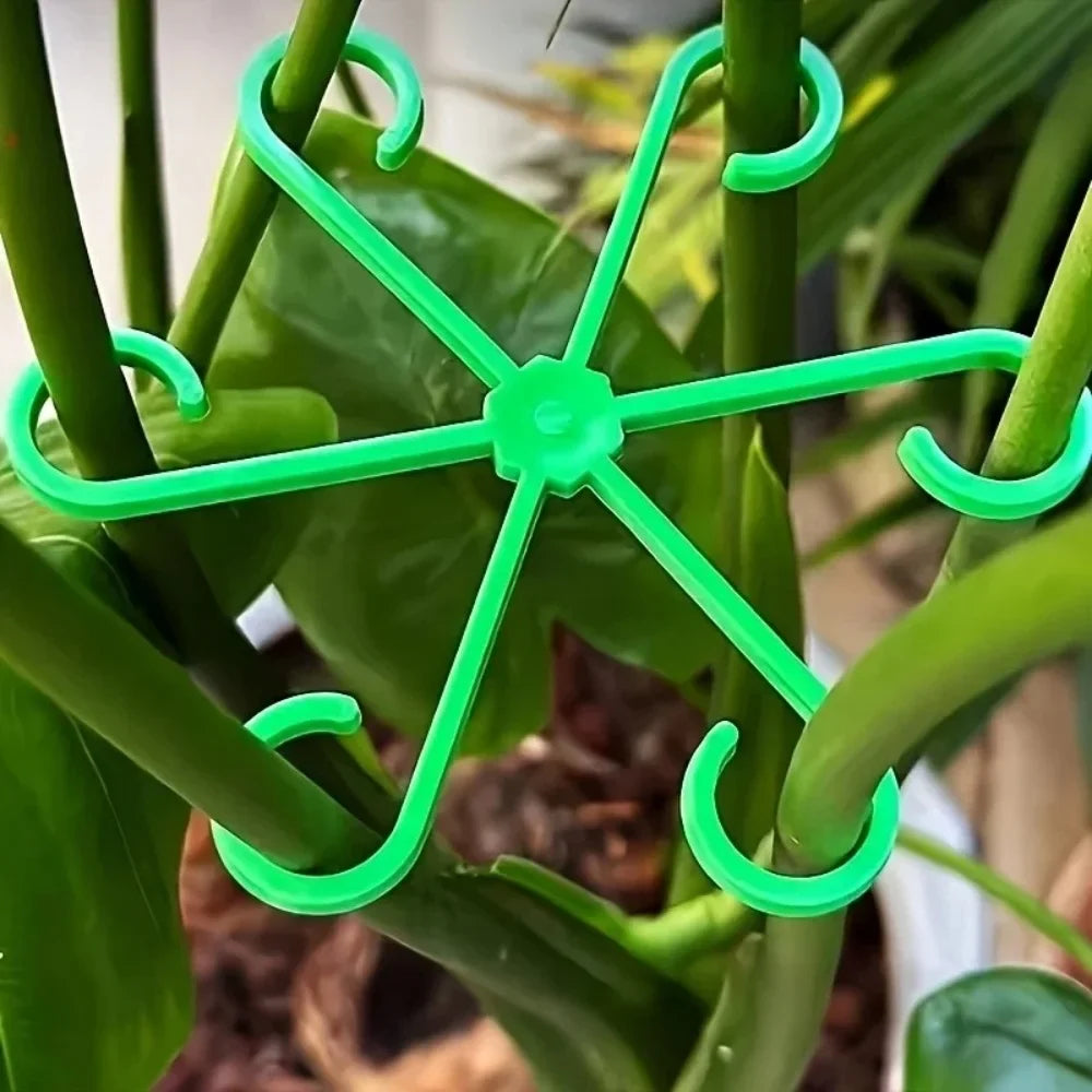 Plant Stem Support Clips Turtle Back Flower Fixing Rack 4pcs Plant Support Clips Qme