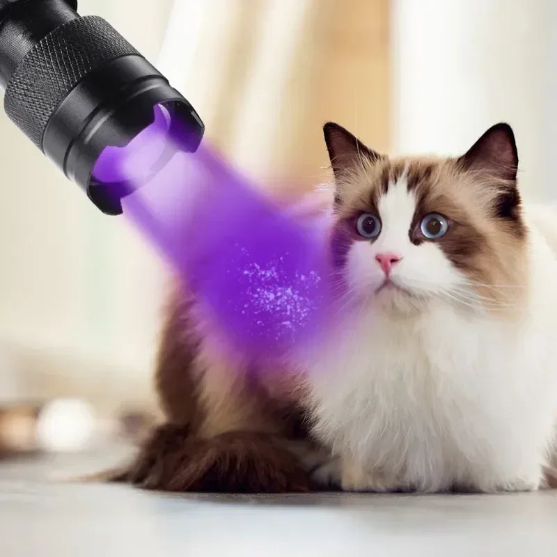 UV Flashlight 395nm LED Blacklight Torch Zoomable Mini UV Blacklight Torch Qme