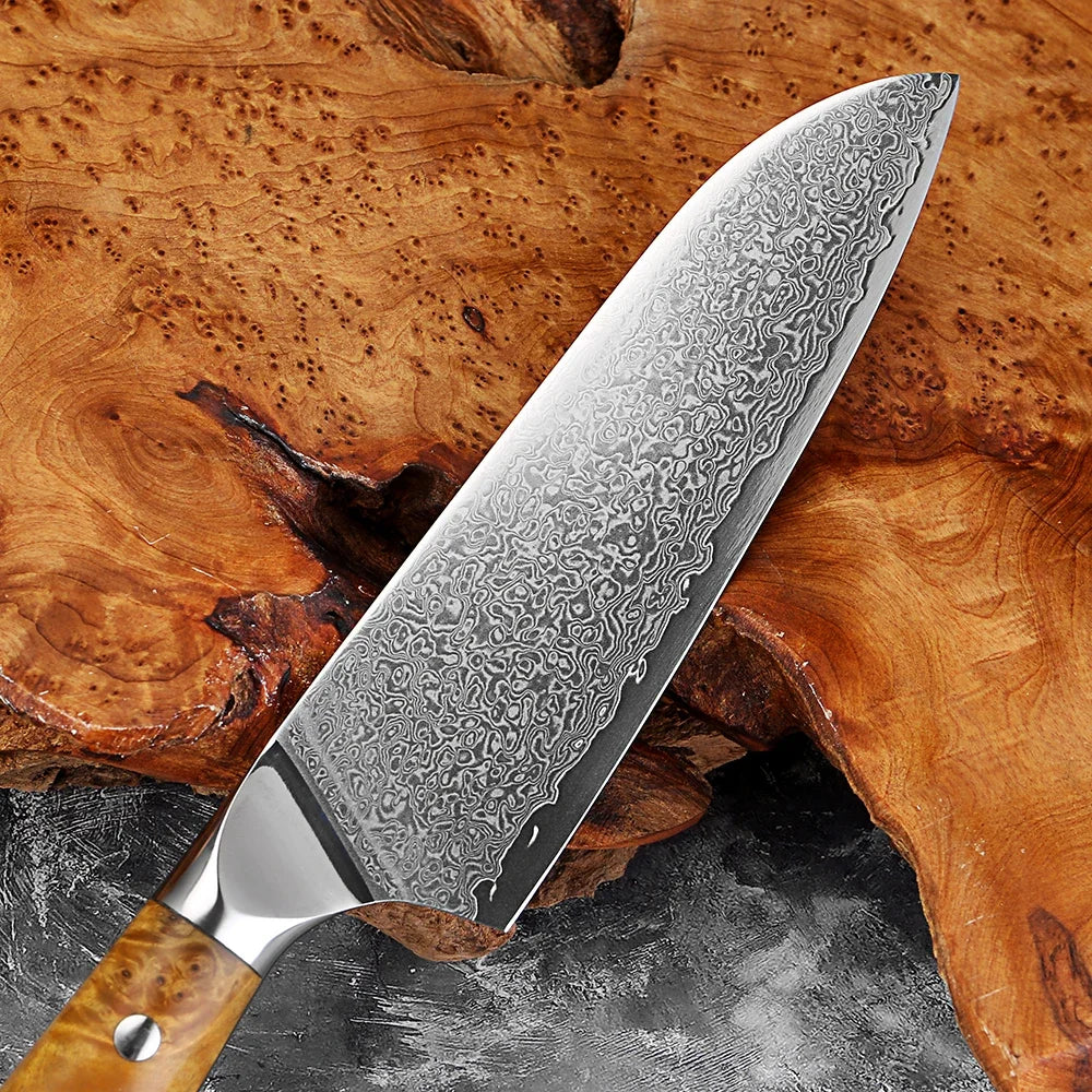 Xituo 7-Inch Damascus Santoku Knife – 67-Layer Steel & Blue Handle Santoku Knife Qst