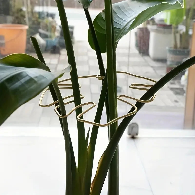Metal Plant Stem Support Ring for Monstera & Potted Plants Plant Stem Support Ring Qme