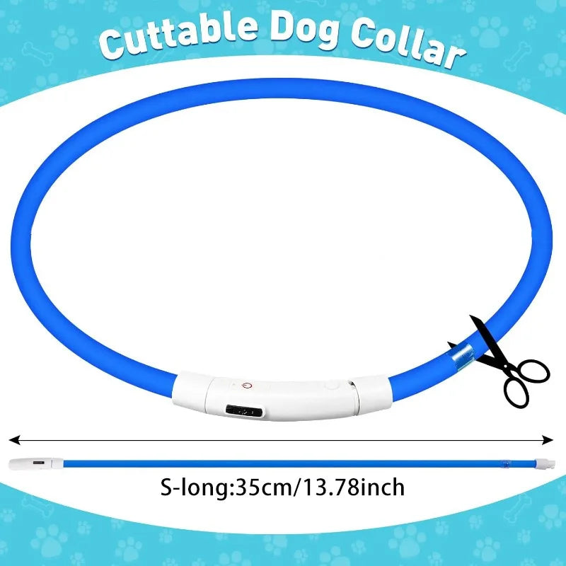 LED USB Rechargeable Dog Collar – Adjustable Safety Light LED Dog Collar Qme