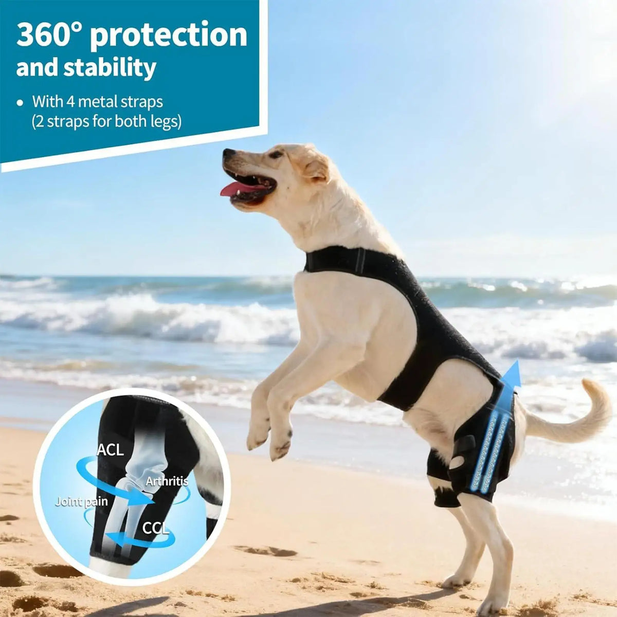 Dog Rear Leg Brace – Adjustable Wrap with 4 Metal Stabilizers Dog Leg Brace Qme