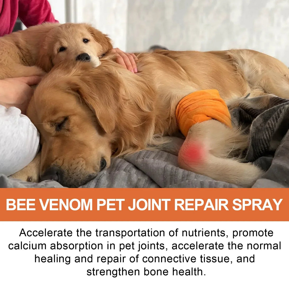 Pet Joint Support Spray for Dogs & Cats – Bone & Mobility Pet Joint Spray Qme