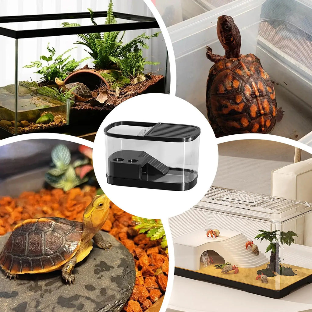 Reptile Habitat Enclosure Tank for Gecko, Bearded Dragon & More Reptile Habitat Tank Qme