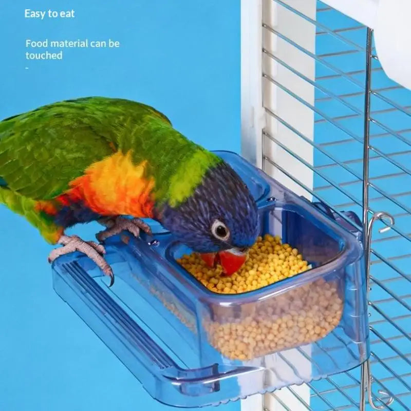 Large Double Compartment Parrot Feeding Bowl | Bird Feeder Dish Bird Feeder Bowl Qme