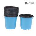 10-Pack Two-Color Plastic Seedling Pots for Succulents Seedling Nursery Pots Qst 2 Blue