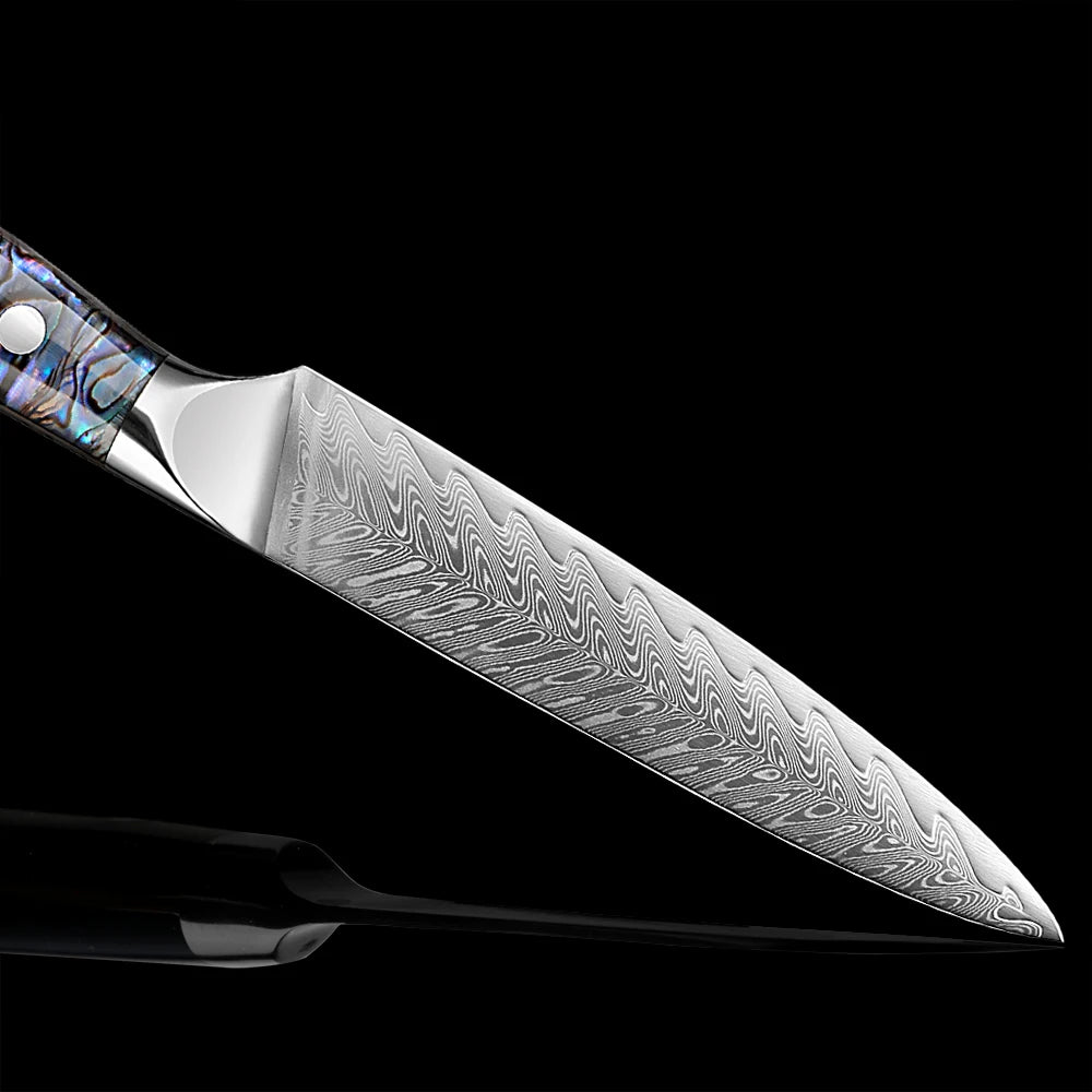 5" VG10 Damascus Paring Knife – Sharp Fruit & Veg Peeling Knife Damascus Paring Knife Qst