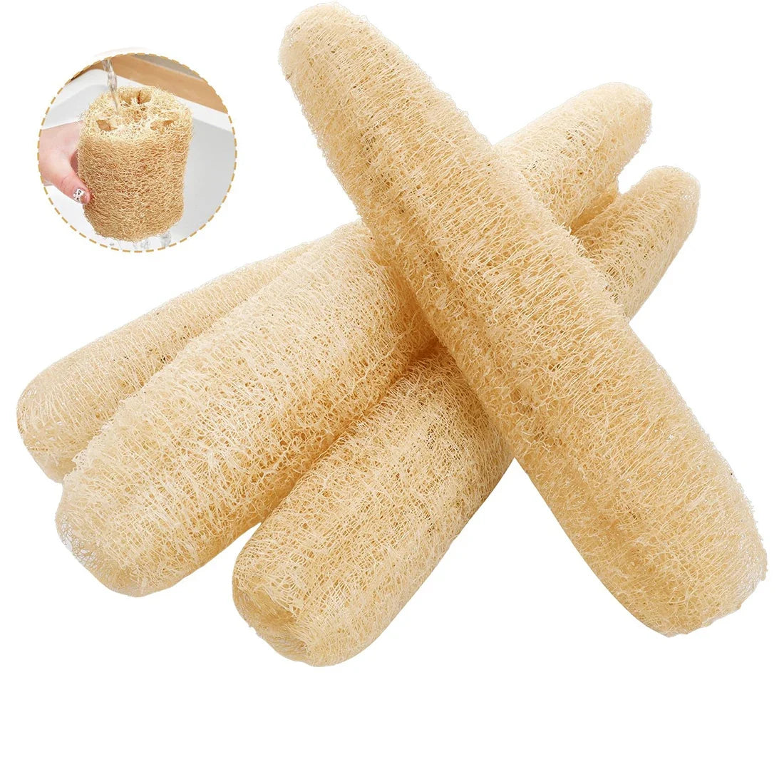 Natural Organic Loofah Sponge – Exfoliating Luffa Body Scrubber Exfoliating Loofah Sponge Qme