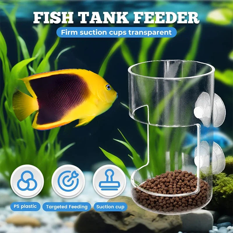 Aquarium Fish Feeder Dish Tray with Suction Cup – Acrylic Aquarium Fish Feeder Qme