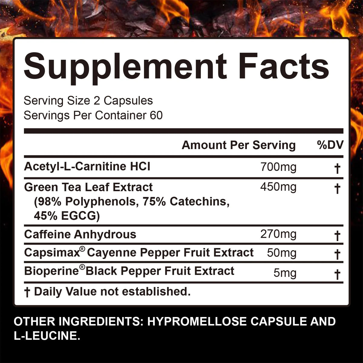 Burn-XT Metabolism Booster Capsules – Energy & Digestive Support Metabolism Booster Supplement Qst