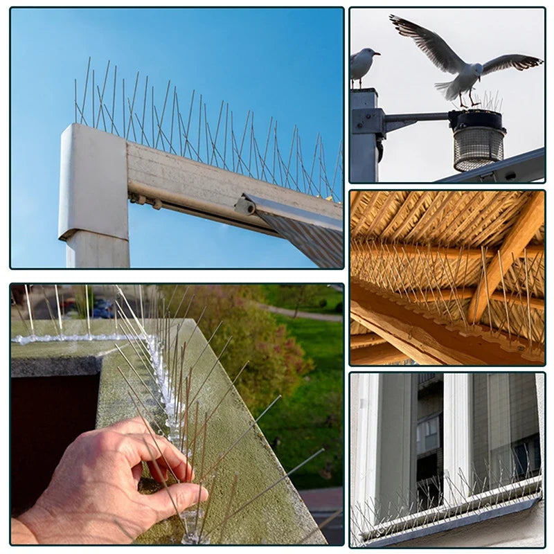 Stainless Steel Bird Spike Deterrent Strip | 25cm Balcony Guard Bird Spike Deterrent Qme