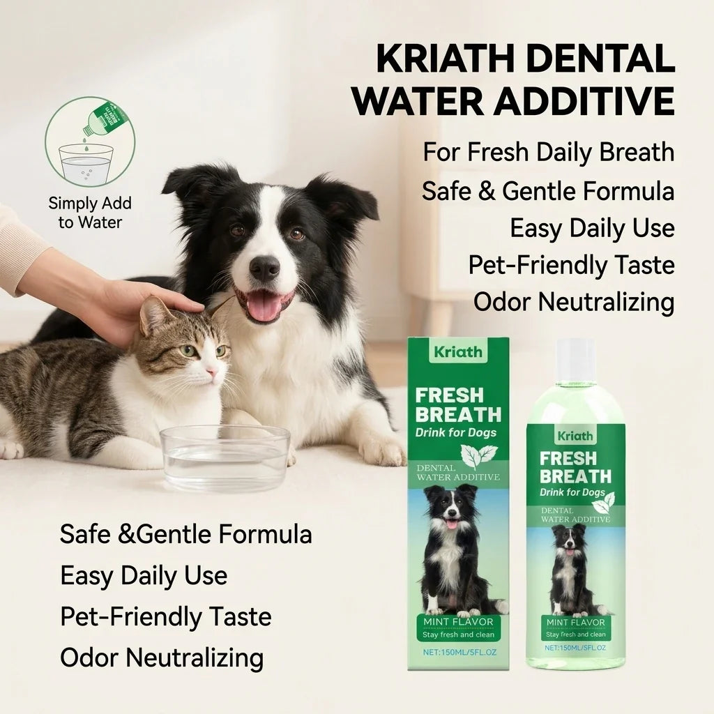 Mint Pet Mouthwash – Plaque Control & Fresh Breath Water Add Pet Dental Mouthwash Qme