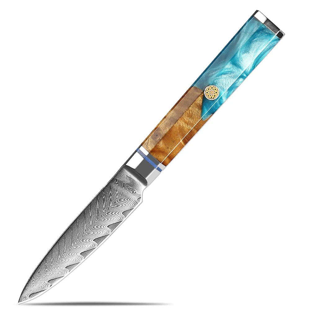 XITUO Damascus Steel Kitchen Knife Set – Blue Resin Handle Kitchen Knife Set Qst Paring Knife