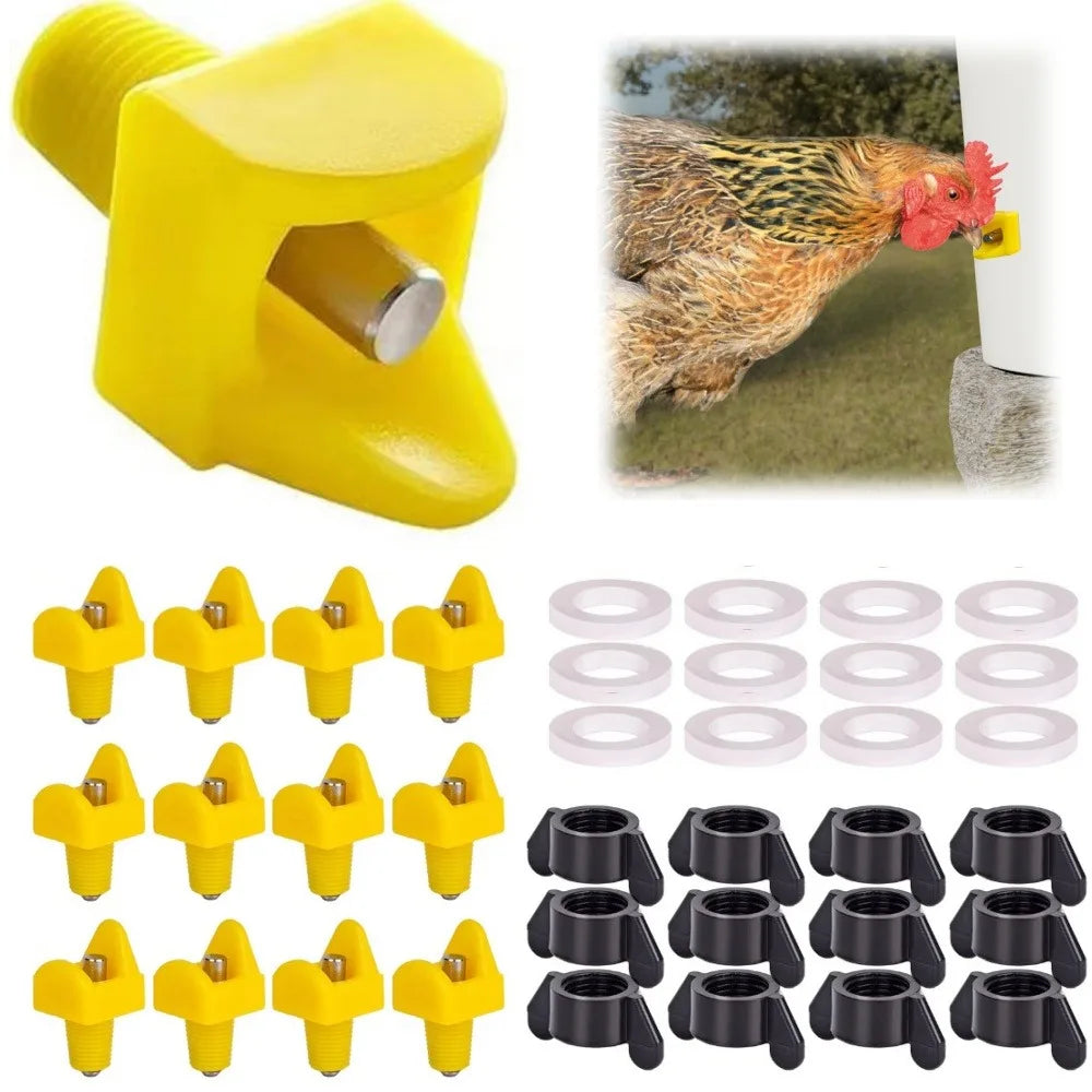 Chicken Automatic Water Dispenser – Easy Install, Leak-Free Poultry Water Dispenser Qme