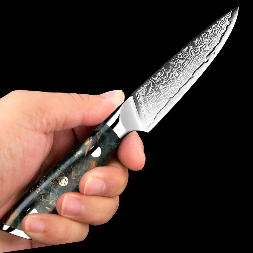 XITUO 3.5" Damascus Paring Knife – 67-Layer VG10 Steel Blade Damascus Paring Knife Qst