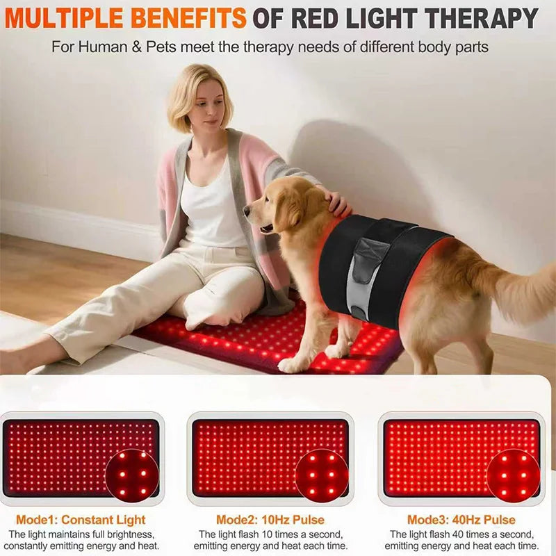 242 LED Red Light Therapy Mat 660nm 850nm Infrared Body Pad Red Light Therapy Mat Qst