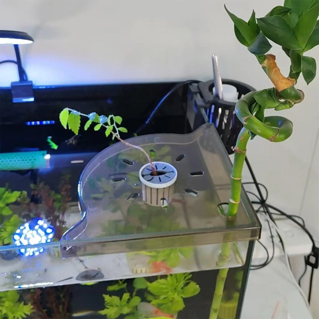 Triangle Aquarium Corner Shelf – Fish Tank Plant Holder Aquarium Corner Shelf Qme