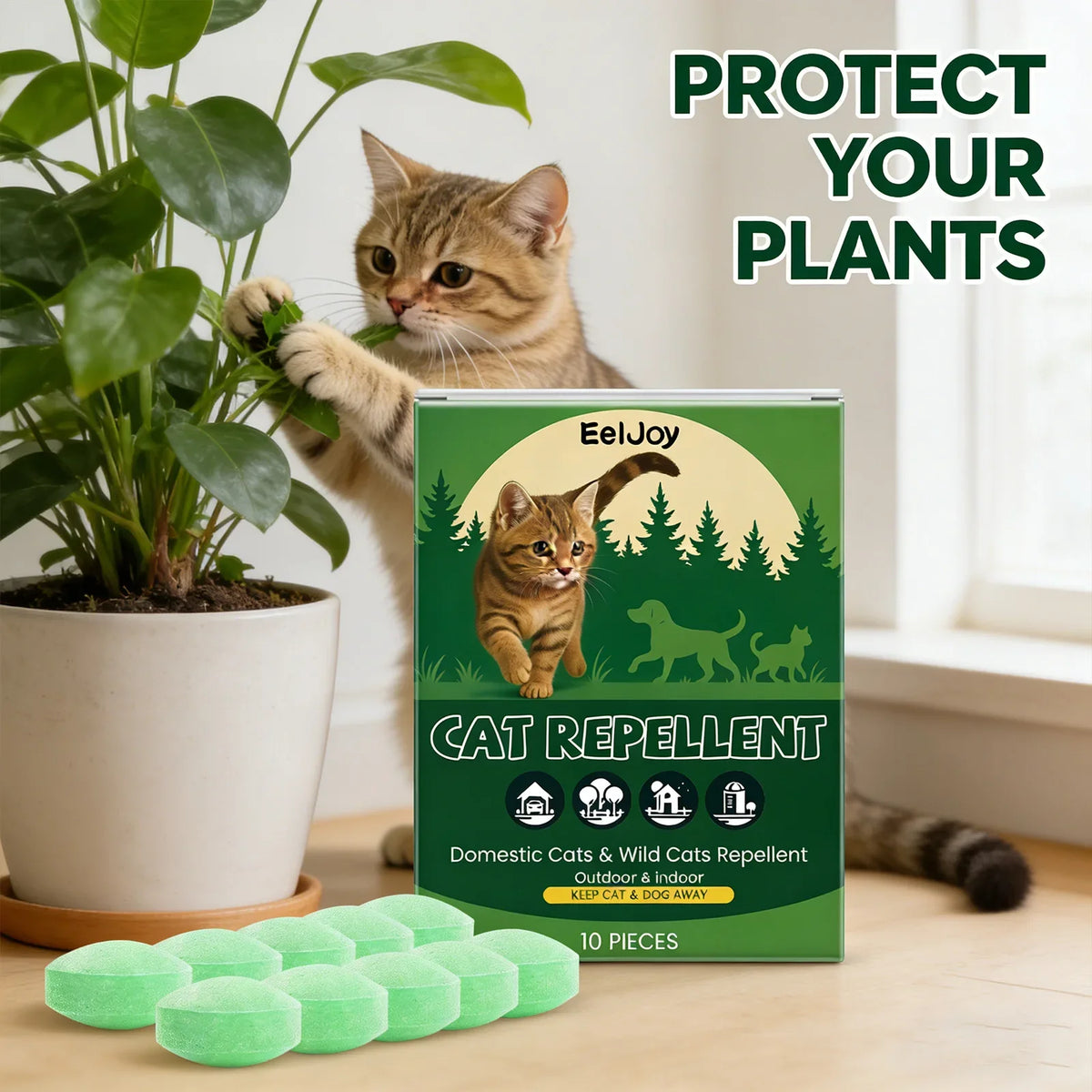 Indoor Cat Repellent Pill – Stops Biting, Gnawing & Scratching Cat Behavior Deterrent Qme