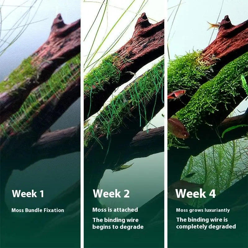 200M Biodegradable Moss Thread – Aquarium Plant Binding String Aquarium Binding Thread Qst