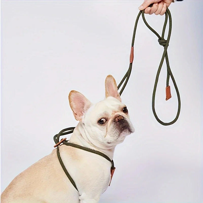 Adjustable Nylon Dog Harness Leash | Chest Strap, 6 Colors Dog Harness Leash Qme