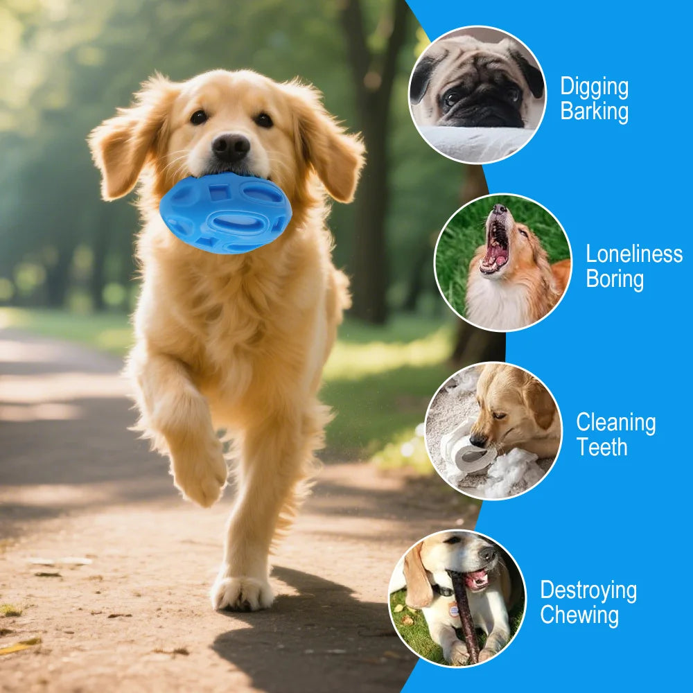 TPR Squeaky Rugby Chew Ball Dog Toy – Medium & Large Dogs Dog Chew Toy Qst