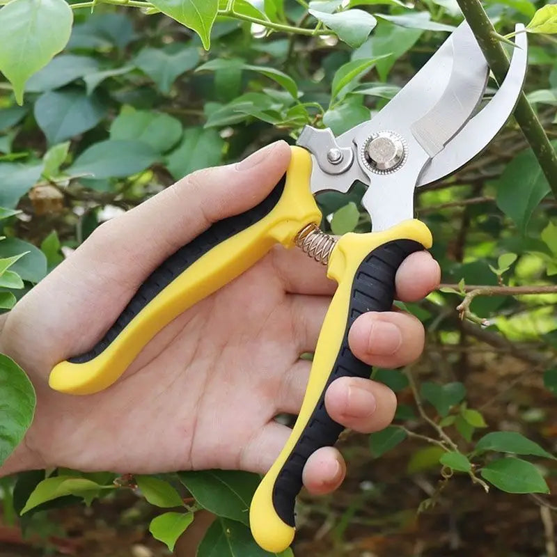 Bird Beak Pruning Scissors – Stainless Steel Garden Shears Pruning Scissors Qme