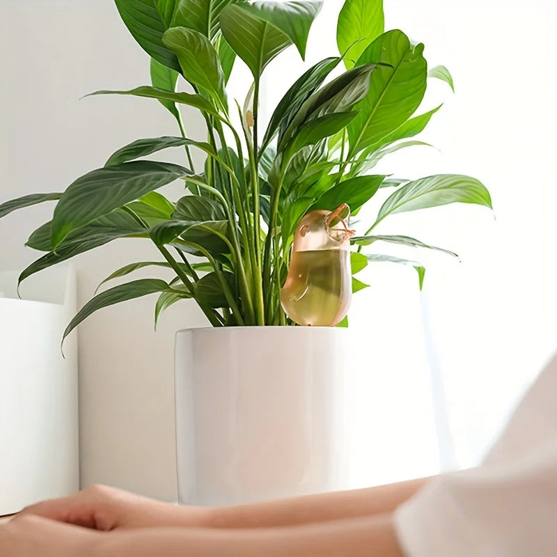 Adjustable Plant Watering Drip Device | Home Garden & Flowers Plant Watering Device Qme