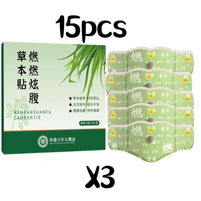 Herbal Navel Acupoint Waist Patches – Mugwort & Botanicals Herbal Wellness Patch Qme 15pcs