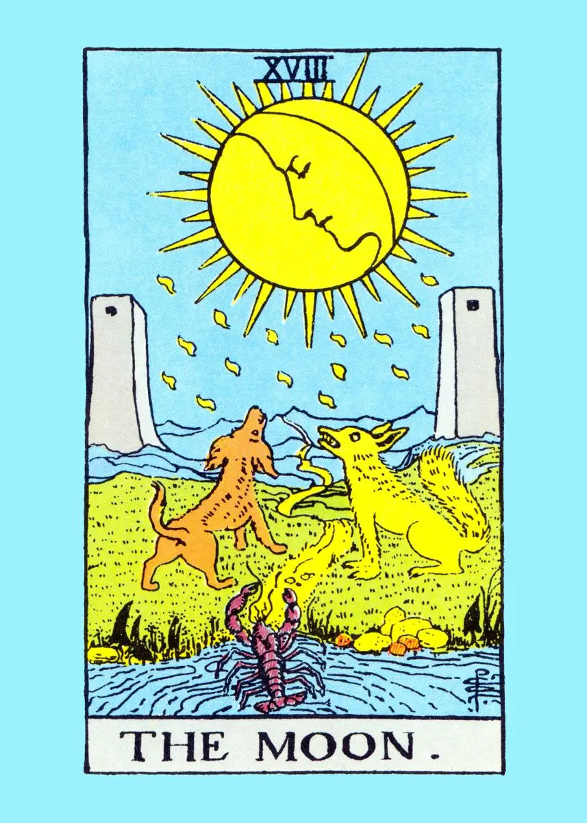 Tarot Card Canvas Wall Art – Witchy Occult Illustration Poster Canvas Wall Art Qst A 30x40cm Unframed