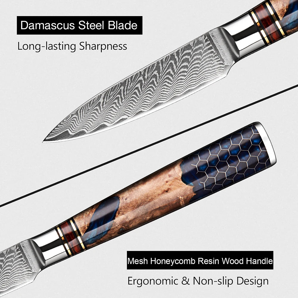 XITUO 3.5" Damascus Steel Paring Knife – Full Tang Wood Handle Damascus Paring Knife Qst