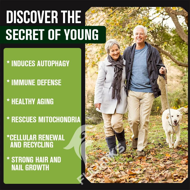 Wheat Germ Extract Capsules with Zinc – Healthy Aging & Energy Nutritional Supplement Qst