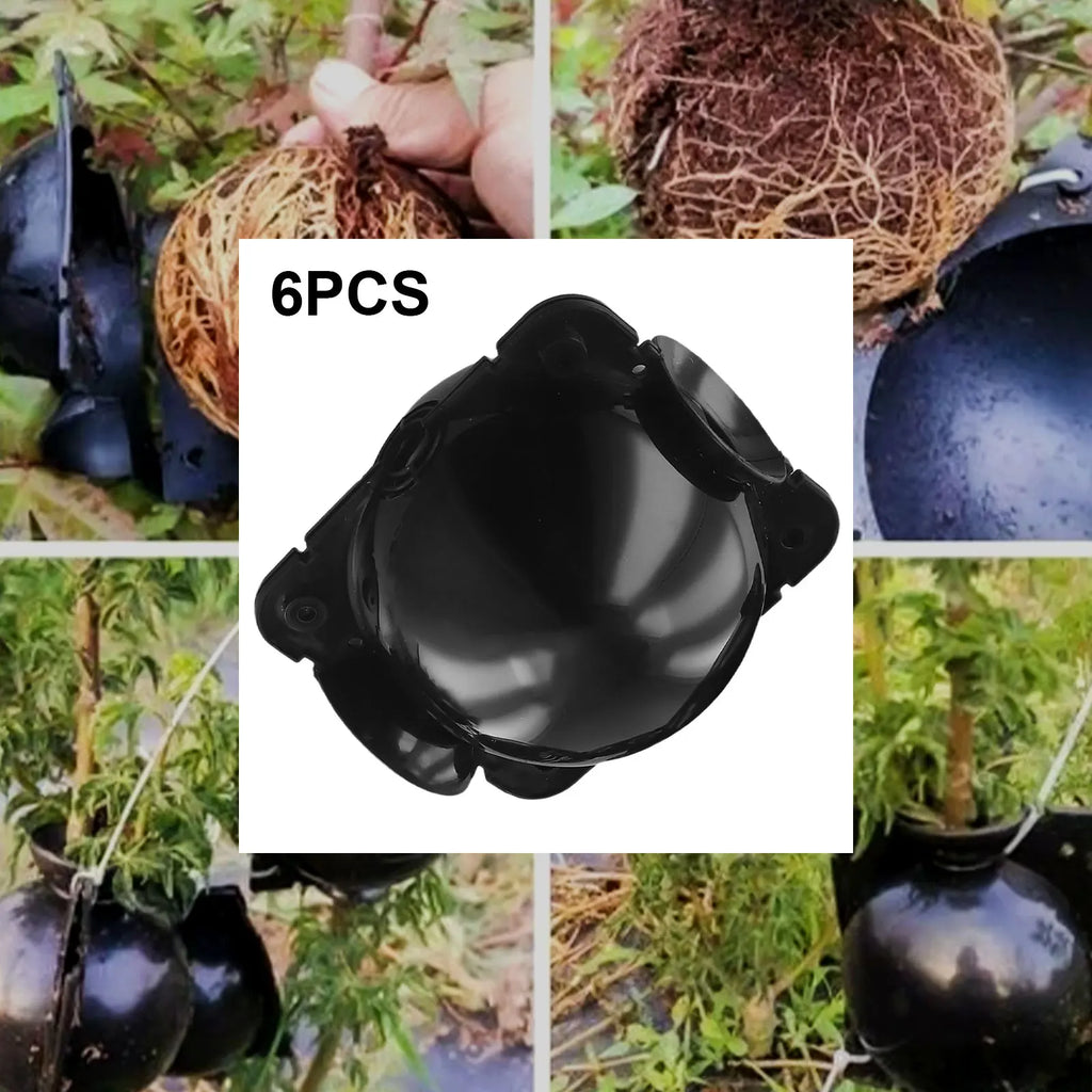 Plant Rooting Propagation Balls – Air Layering Box 6 Pack Plant Propagation Kit Qme