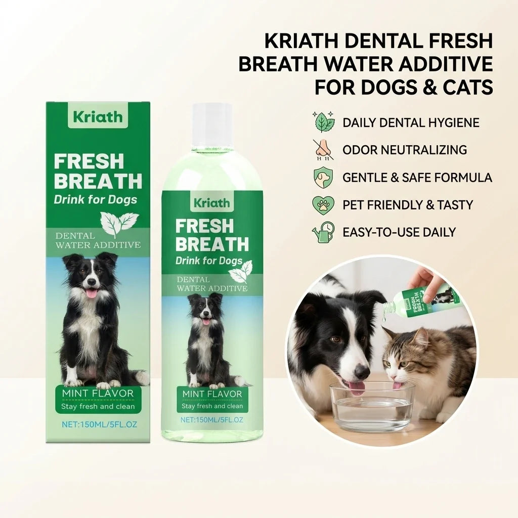Mint Pet Mouthwash – Plaque Control & Fresh Breath Water Add Pet Dental Mouthwash Qme