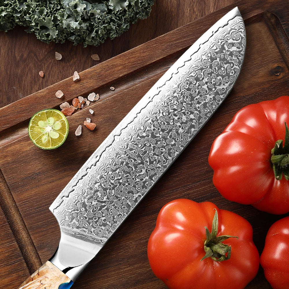 XITUO 7-Inch Santoku Knife – VG10 67-Layer Damascus Steel Santoku Chef Knife Qst