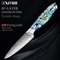 XITUO Damascus Paring Knife 3.5" Japanese VG10 Fruit Knife Damascus Paring Knife Qst Fruit knife