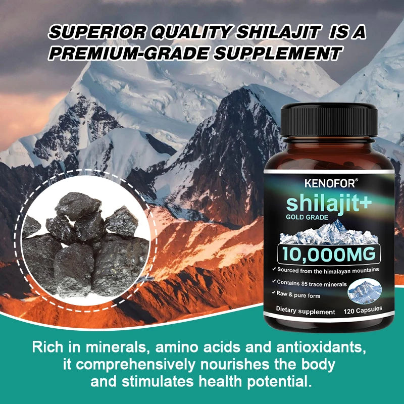 Himalayan Gold Grade Shilajit Capsules – Fulvic Acid & Minerals Mineral Supplement Qst