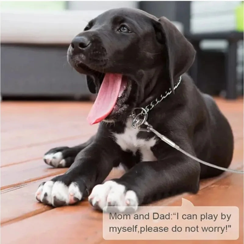 Double-Headed Dog Tie Out Cable Leash | Stainless Steel Dog Tie Out Cable Qme