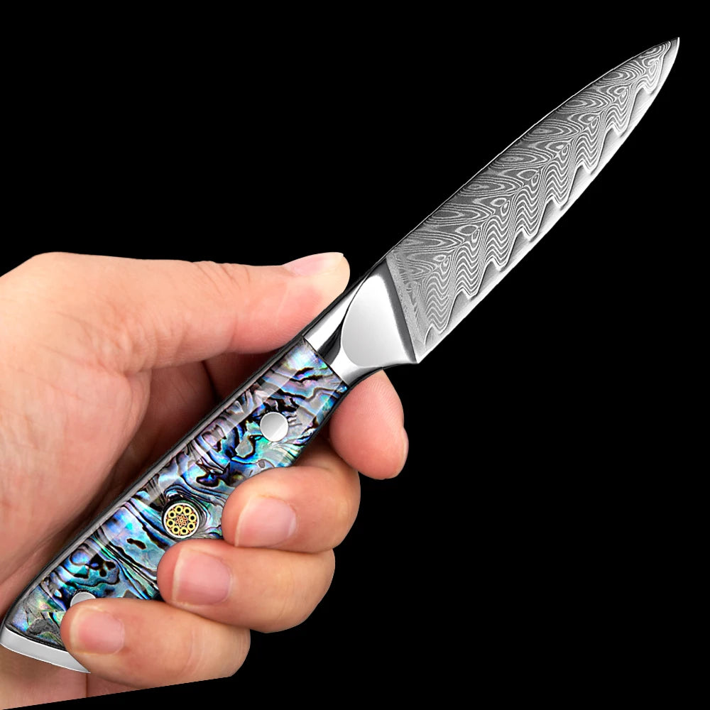XITUO 3.5" Damascus VG10 Paring Knife – Razor Sharp Kitchen Knife Damascus Paring Knife Qst