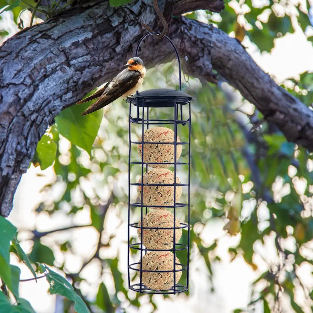 Hanging Wild Bird Suet Ball Feeder Rack | Outdoor Garden Wild Bird Feeder Qme