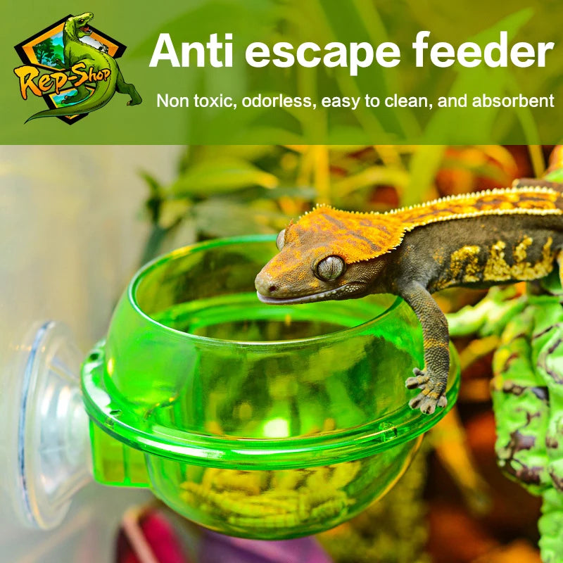 Reptile Anti-Escape Feeder Bowl – Suction Cup for Lizard & Gecko Reptile Feeder Bowl Qst
