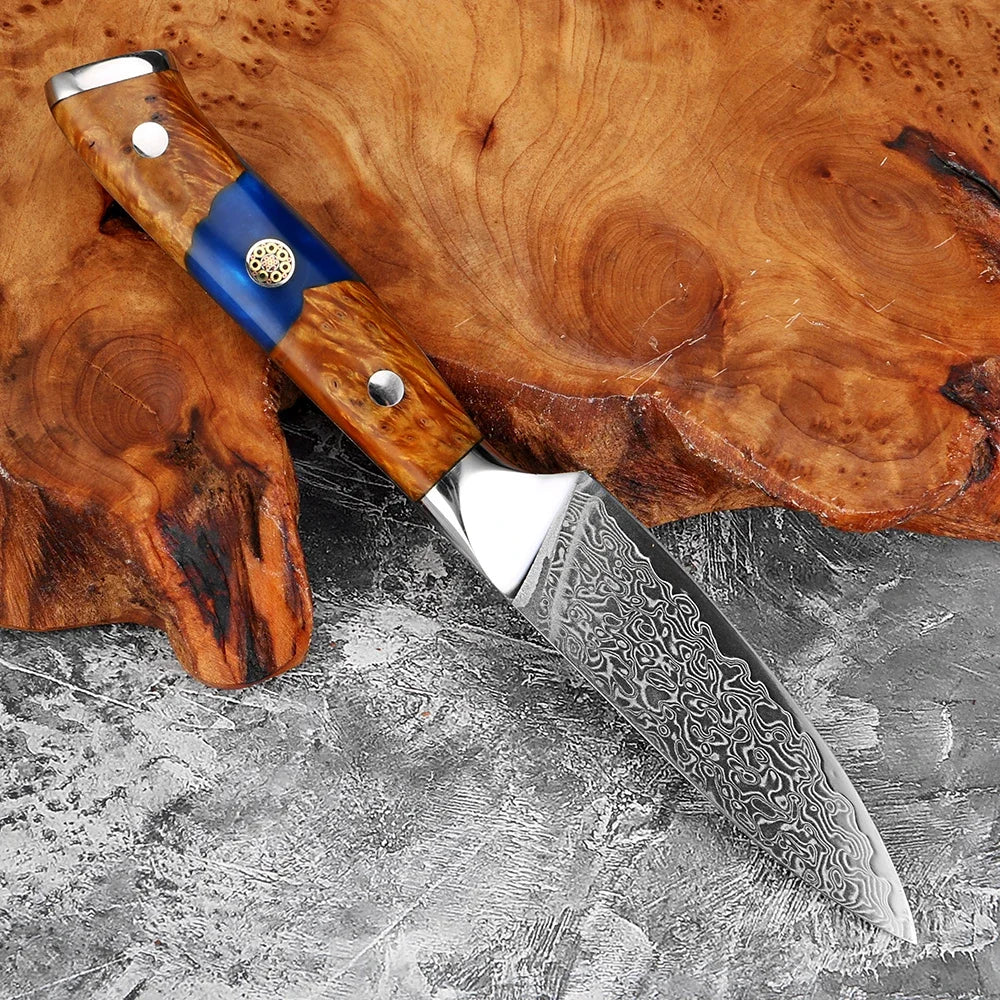 XITUO 3.5" Damascus Steel Paring Knife – Wood Resin Handle Damascus Paring Knife Qst