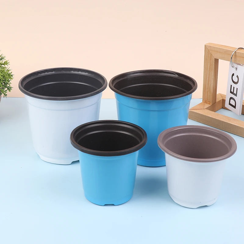 10-Pack Two-Color Plastic Seedling Pots for Succulents Seedling Nursery Pots Qst