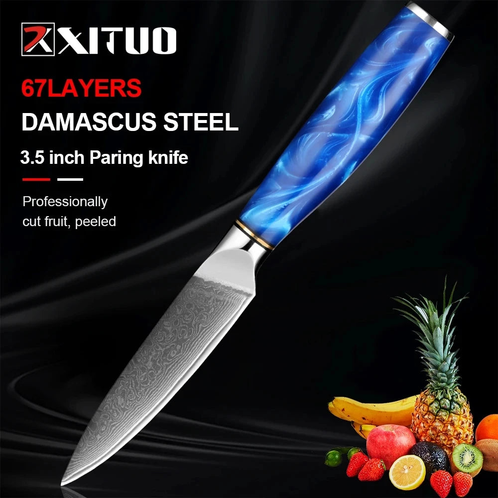 XITUO Damascus Steel 3.5" Paring Knife – Blue Resin Handle Damascus Paring Knife Qst
