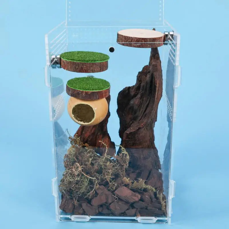 Handmade Mini Jumping Spider Hide Cave – Wood & Walnut Enclosure Spider Enclosure Hide Qme