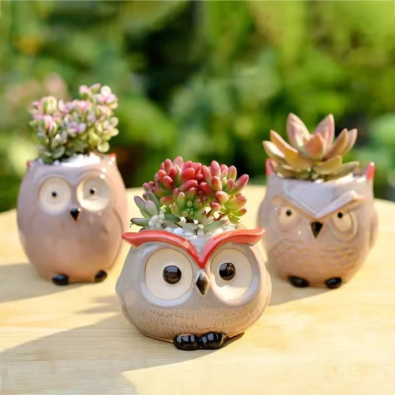 Mini Owl Ceramic Succulent Pot – Cute Animal Planter Décor Ceramic Planter Qst
